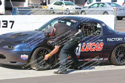 media/Oct-15-2023-Lucky Dog Racing Chuckwalla (Sun) [[f659570f60]]/1-Around the Pits-Driver Changeovers-Awards/